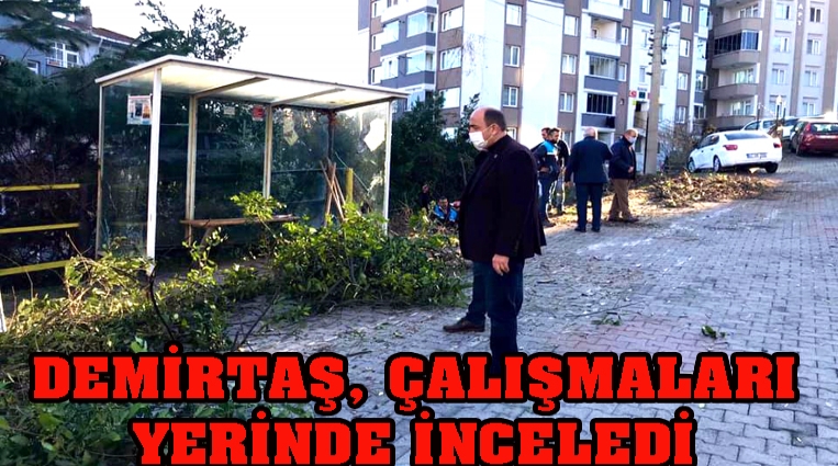 BAŞKAN DEMİRTAŞ, ÇALIŞMALARI İNCELEDİ