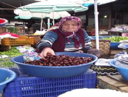 KESTANE AZ, FİYATI YÜKSEK