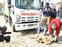 NEBİOĞLU BELEDİYESİNE ÇÖP KAMYONU ALINDI