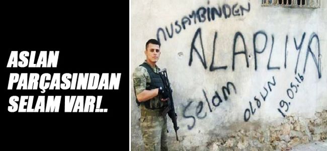 ALAPLILI ASLAN PARÇASINDAN SELAM VAR!..